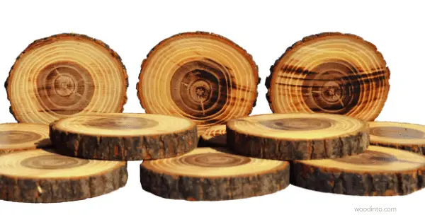 How to Preserve Wood Slices